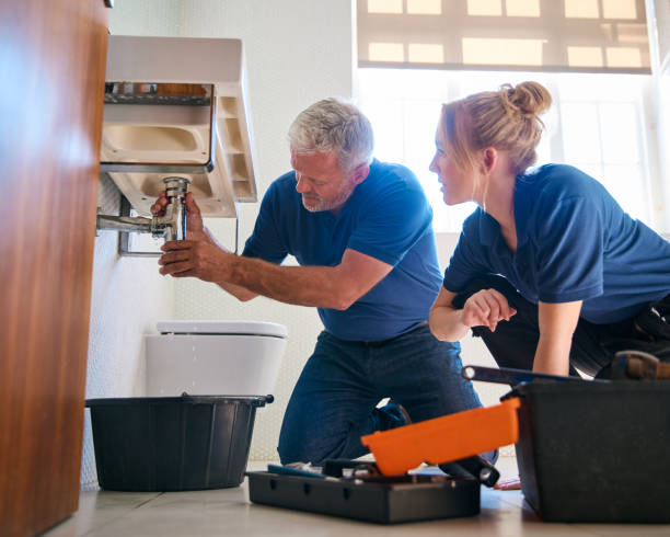 Best Plumbing System Maintenance  in North Auburn, CA